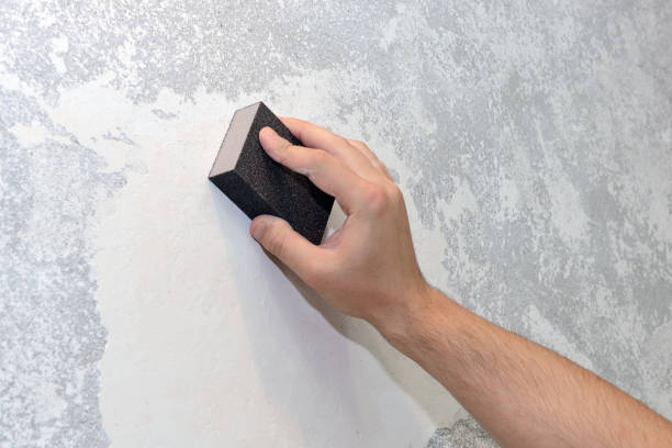 Best Environmental Consulting for Mold Prevention  in Greenvle, IL