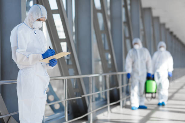 Reliable Greenville, IL Mold Removal Solutions