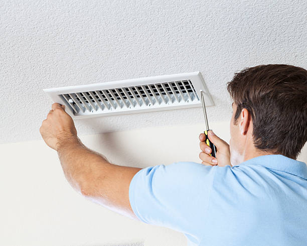 Best Mold Odor Removal Services  in Greenvle, IL