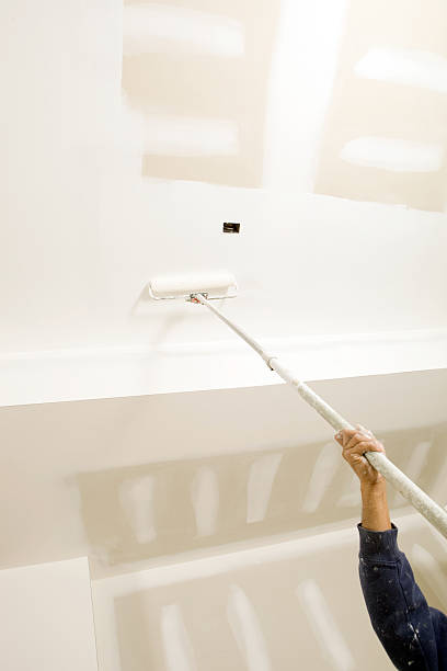 Best Mold Removal for HVAC Installations  in Greenvle, IL