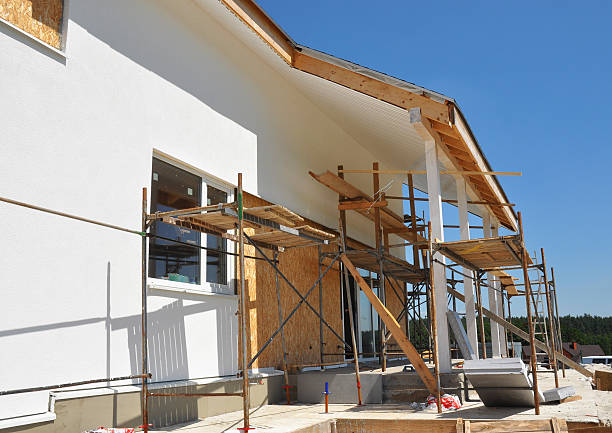 Best Biohazard Mold Removal  in Greenvle, IL