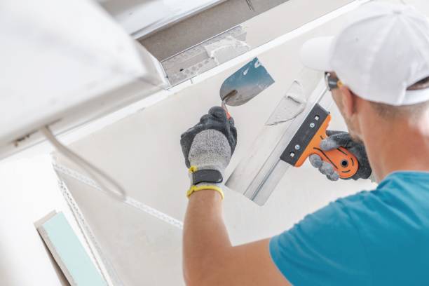 Best Attic Mold Removal  in Greenvle, IL